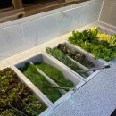 발섬6길 이미지