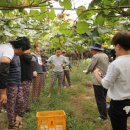 창현축산 이미지