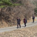 산수유 둘레길 이미지