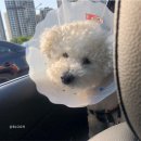 현대종합동물병원 이미지