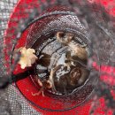 구매항펜션 이미지