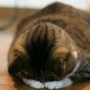 우리항외과의원 이미지