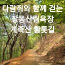 다람쥐신발 | [대전 장동산림욕장] 황톳길에서 다람쥐 만난 방문 후기