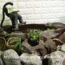 도로시카페공방 이미지