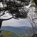 다향정 | 산행 중 길을 잃고 생고생..., 하동 구재봉 자연휴양림 출발 원점회귀 산행