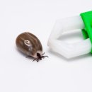 라임동물병원 이미지