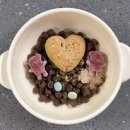 닥터펫푸드 | [강아지 가수분해사료] 닥터독 베츠초이스 피부 모질 관리 후기