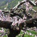 고삼목장 이미지