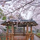 신산보건진료소 이미지