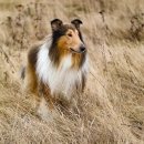 윤진약국 이미지