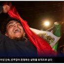 미국, 19개국 이민 절차 중단 이미지