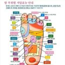 국학원 황톳길 걷기 대회 이미지