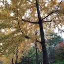 주원고개 이미지