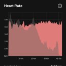 알파 트레이닝센터 | 2026서울 동아마라톤 풀코스 써브쓰리(섭쓰리)완주 후기(압구정pt 이지호코치)