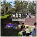 일출랜드식물원 | 일출랜드 성산일출봉 인근 가볼만한 곳 추천! 미천굴과 동백족욕 후기
