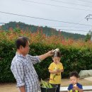 동백골한옥 이미지