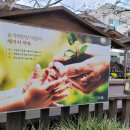 마실본점 이미지