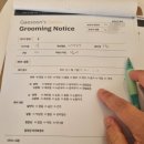 개순이 살롱 이미지