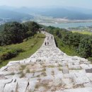 파사성 소나무 이미지