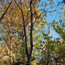 센트럴내과의원 | [D+30] &#39;2025년 11월 19일 수요일&#39;