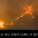 PC나라 이미지