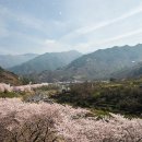 바람의속삭임 이미지