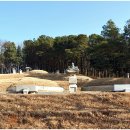 조정만묘 이미지