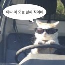 달구지제2농장 | [육아]16개월 아기랑 서울 근교 농장 체험 - 룰루목장 내돈내산 후기!