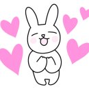 꽃돼지바베큐 이미지