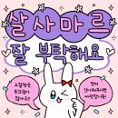 4월 살사마르 운영진 개편 이미지