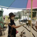 S033 | 강원도) 대관령 주주 파크-아이들과 함께 즐거운 시간