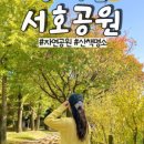 서호농장 이미지