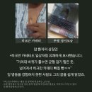 카드분식 Daum카페