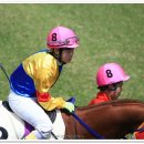 경마공원 이미지