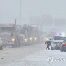 거북이당구장 이미지