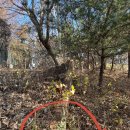 농부릿지 | 충주 보련산 백패킹 몽벨 스텔라릿지3 텐트 개시