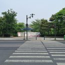 황새울교 앞 티스토리