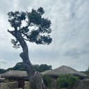 한국건재 | 아산 외암마을 건재고택 개방 팁스 후기