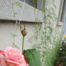 김제아리랑농원 이미지