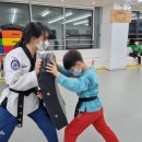 하늘태권도 이미지