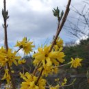 식물원 정자옆 이미지