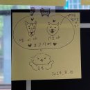 강아지고양이편의점 - 남구 용호로 220 | 강아지고양이편의점