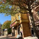 (주)아마존 | [에버랜드 평일 후기] 실시간 놀이기구 대기시간 눈치게임 대성공 (점심, 츄러스, 아마존 꿀팁)