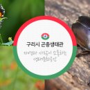 곤충생태관_2 이미지