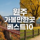 원주허브팜식물박물관(휴관) | 원주 가볼만한곳 베스트10