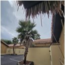 힐링풀빌라 이미지