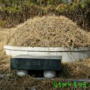 용남해안길 이미지