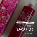 포레스타 | 포레스타 크레이지 지성 탈모 샴푸 추천 내돈내산 후기