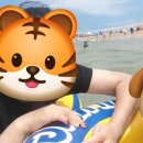 유리네민박 이미지