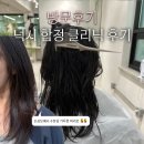 가로수헤어 - 목포시 | [방문후기]넉시 합정에서맞춤컨설팅과 아윤채 헤어 클리닉 후기 (+빈티지펌 내돈내산 후기, 차예원...